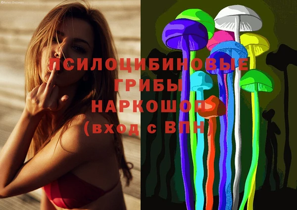скорость mdpv Белокуриха