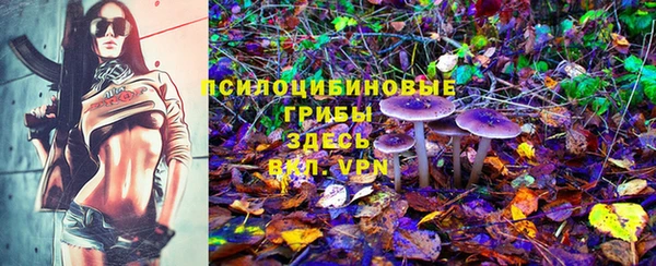 скорость mdpv Белокуриха