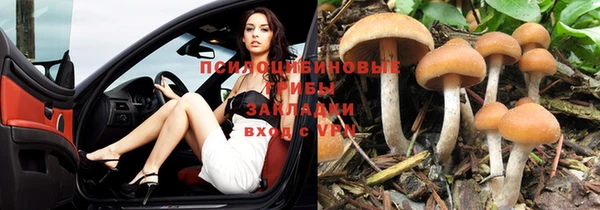 стафф Беломорск